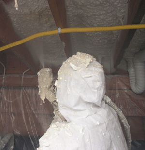 Shreveport LA crawl space insulation